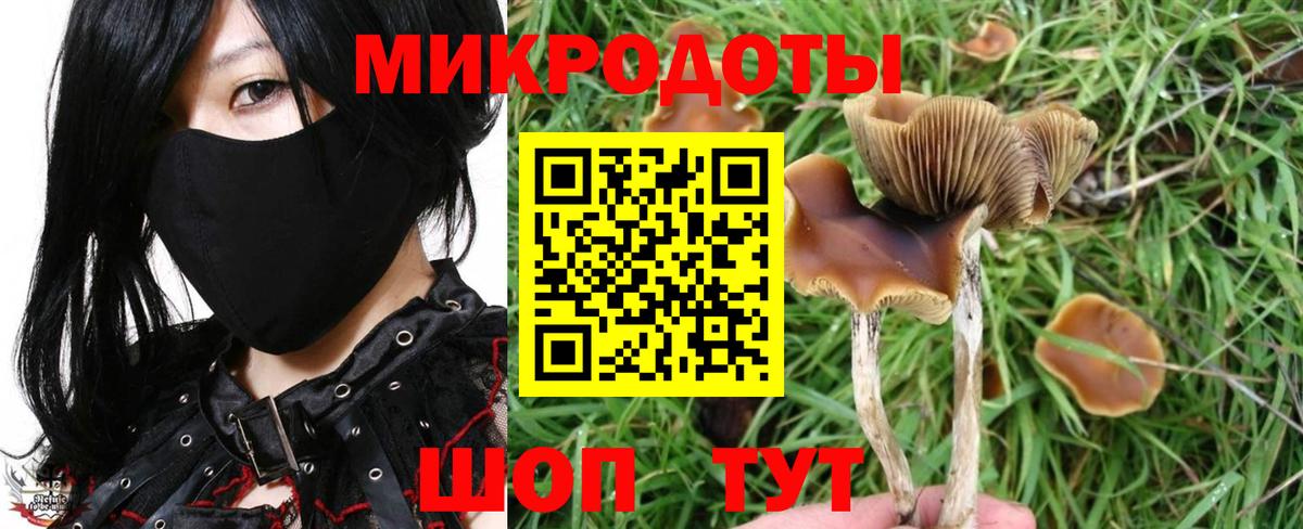 Галлюциногенные грибы MAGIC MUSHROOMS Краснознаменск