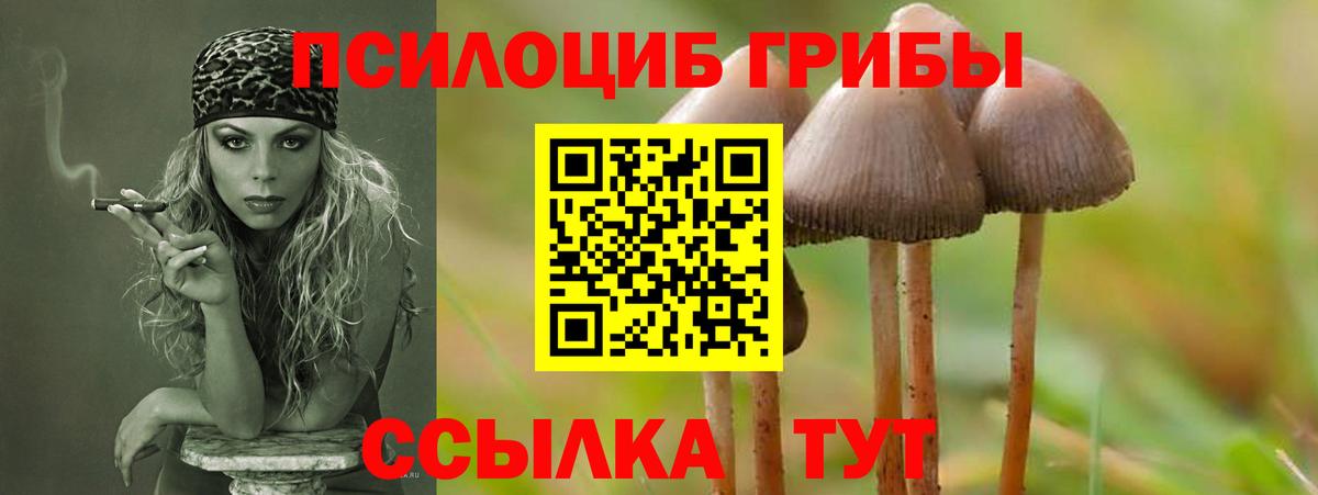 Цена  ГАШ  Краснознаменск  Бошки Шишки  Вход с VPN  Меф МЯУ МЯУ кристаллы  Гашиш 